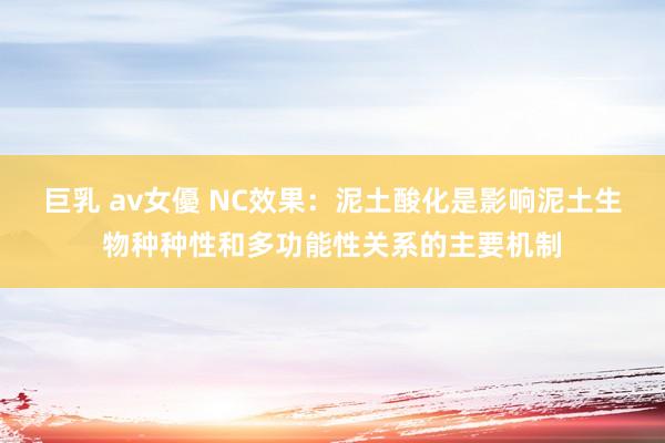 巨乳 av女優 NC效果：泥土酸化是影响泥土生物种种性和多功能性关系的主要机制