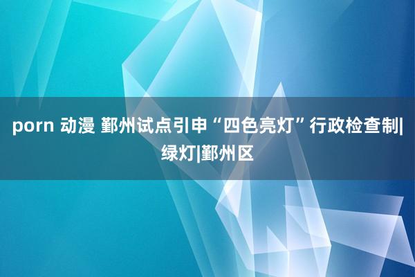 porn 动漫 鄞州试点引申“四色亮灯”行政检查制|绿灯|鄞州区