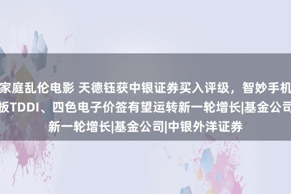 家庭乱伦电影 天德钰获中银证券买入评级，智妙手机AMOLED、平板TDDI、四色电子价签有望运转新一轮增长|基金公司|中银外洋证券