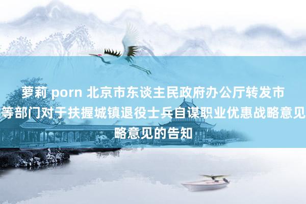 萝莉 porn 北京市东谈主民政府办公厅转发市民政局等部门对于扶握城镇退役士兵自谋职业优惠战略意见的告知