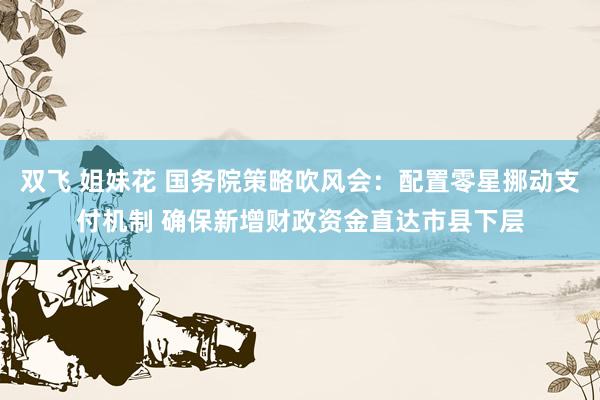 双飞 姐妹花 国务院策略吹风会：配置零星挪动支付机制 确保新增财政资金直达市县下层