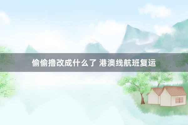 偷偷撸改成什么了 港澳线航班复运