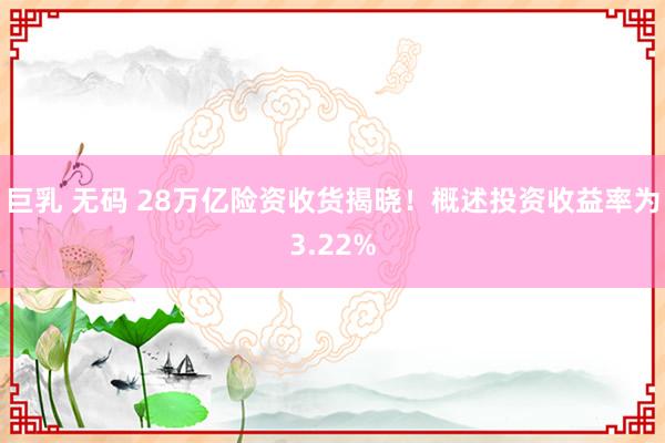 巨乳 无码 28万亿险资收货揭晓！概述投资收益率为3.22%