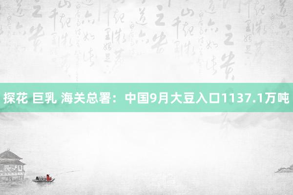 探花 巨乳 海关总署：中国9月大豆入口1137.1万吨