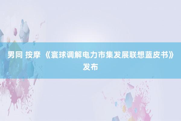 男同 按摩 《寰球调解电力市集发展联想蓝皮书》发布