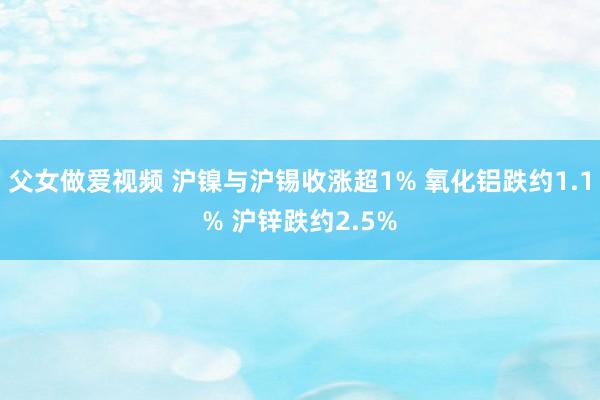 父女做爱视频 沪镍与沪锡收涨超1% 氧化铝跌约1.1% 沪锌