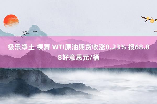 极乐净土 裸舞 WTI原油期货收涨0.23% 报68.88好
