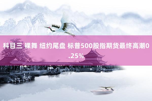 科目三 裸舞 纽约尾盘 标普500股指期货最终高潮0.25%