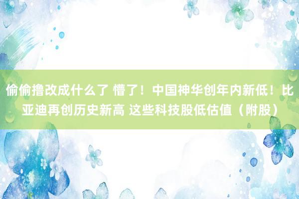 偷偷撸改成什么了 懵了！中国神华创年内新低！比亚迪再创历史新高 这些科技股低估值（附股）
